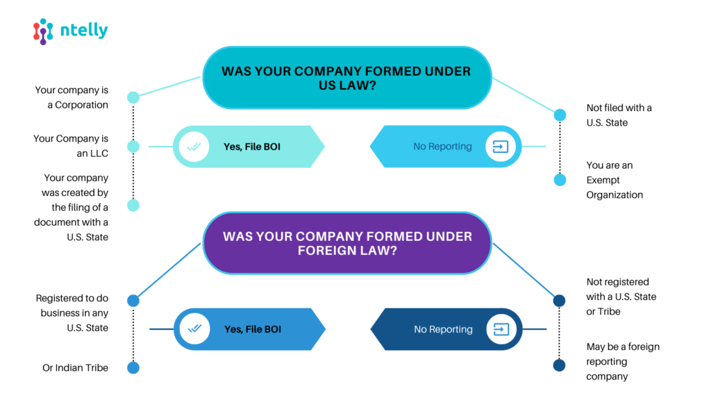 Beneficial Ownership Information Reporting Quiz Ntelly Inc