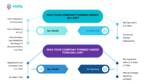 Beneficial Ownership Information Reporting Quiz Ntelly Inc