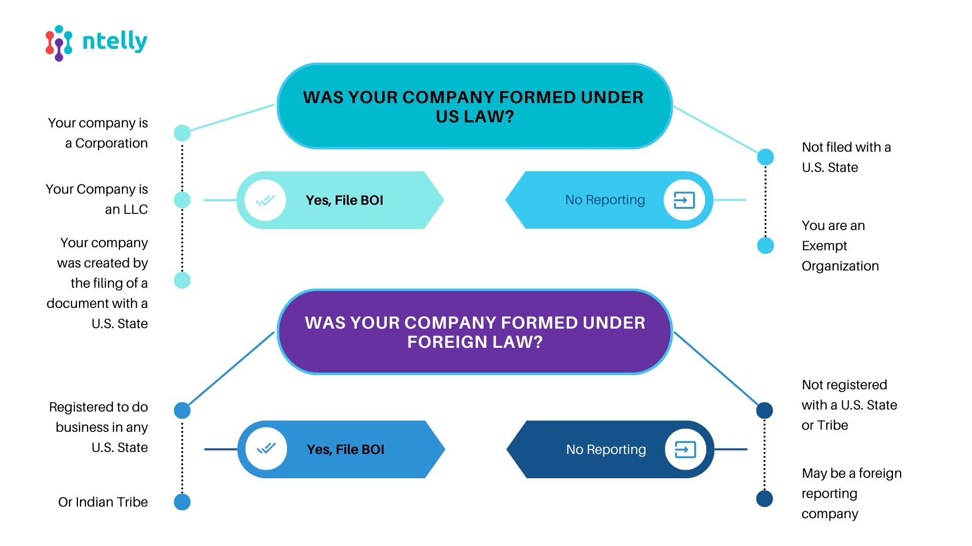 Beneficial Ownership Information Reporting Quiz Ntelly Inc